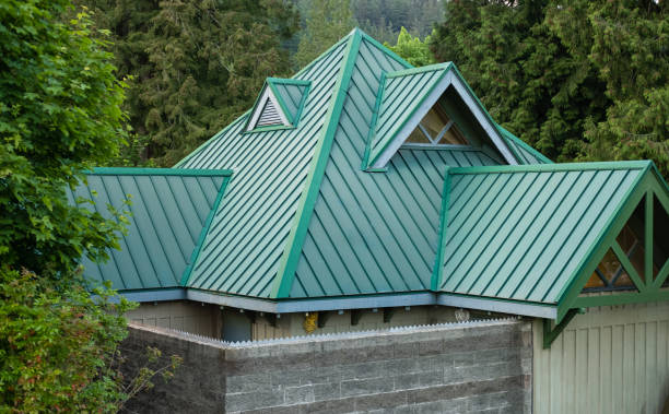 Best Sheet Metal Roofing  in Leesburg, VA
